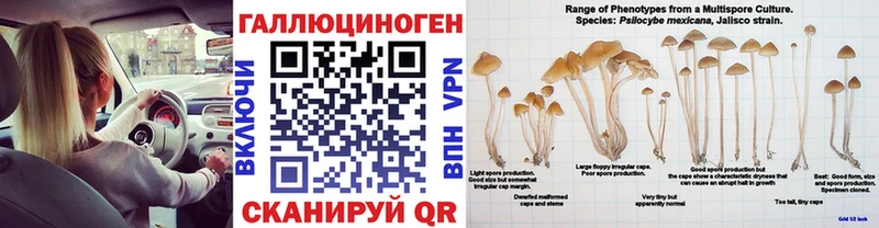Галлюциногенные грибы мицелий  ОМГ ОМГ маркетплейс  Сурск 